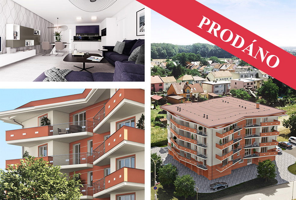Vizualizace projektu DZ 5